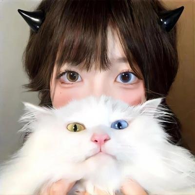 大小姐的上门女婿