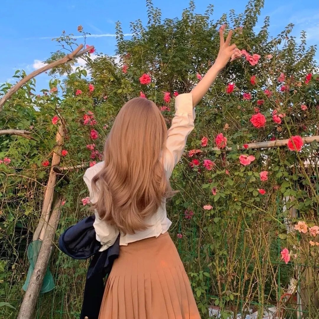 红顶商人：胡雪岩